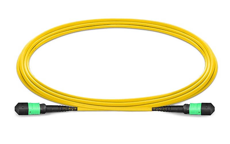 MPO backbone cable jumper