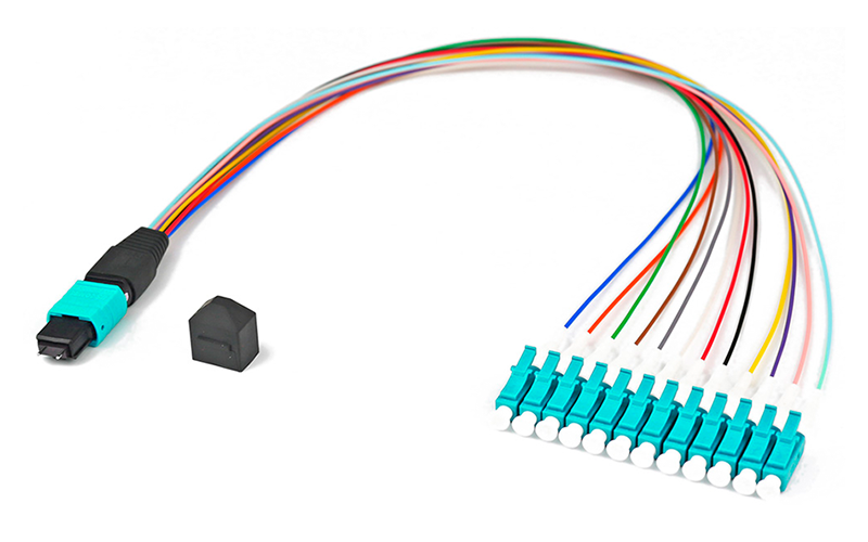 MPO harness module transfer jumper